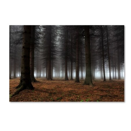 Trademark Fine Art Dragisa Petrovic 'Place Of Silence' Canvas Art, 30x47 1X01599-C3047GG